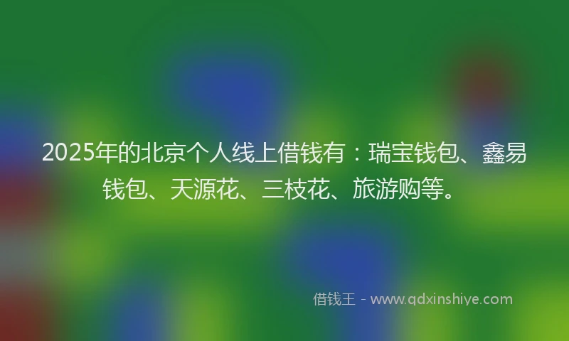 2025年的北京个人线上借钱有：瑞宝钱包、鑫易钱包、天源花、三枝花、旅游购等。