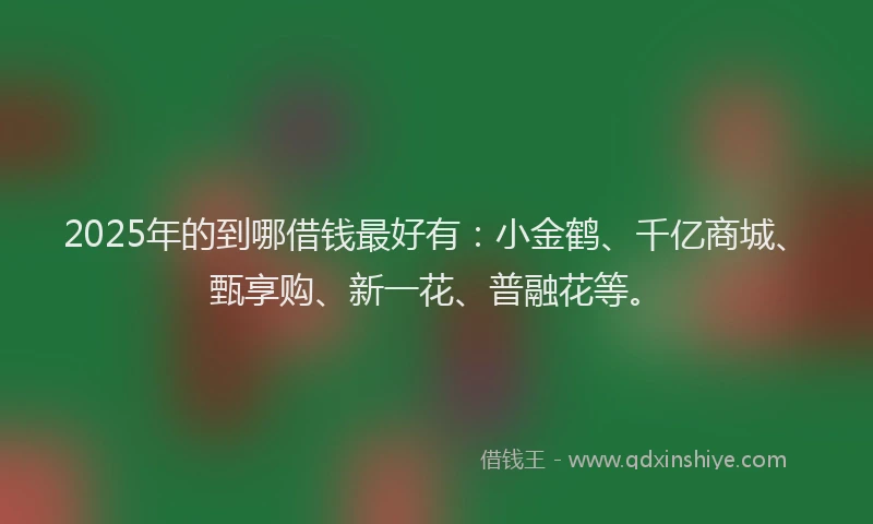 2025年的到哪借钱最好有:小金鹤、千亿商城、甄享购、新一花、普融花等。
