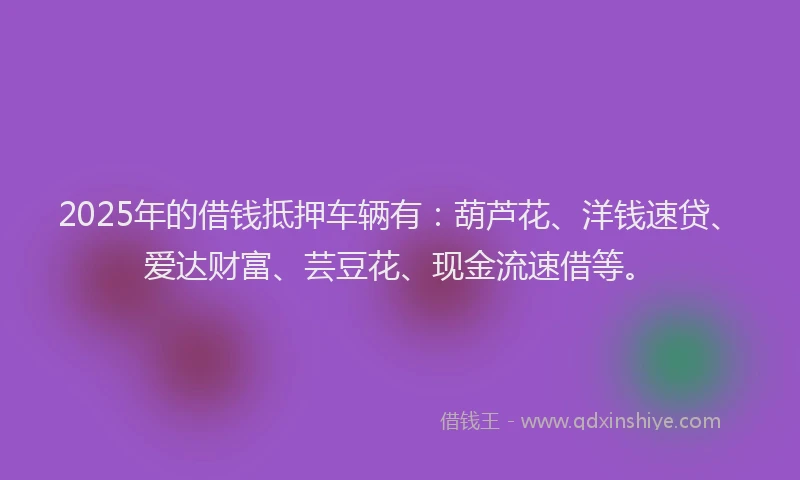 2025年的借钱抵押车辆有：葫芦花、洋钱速贷、爱达财富、芸豆花、现金流速借等。