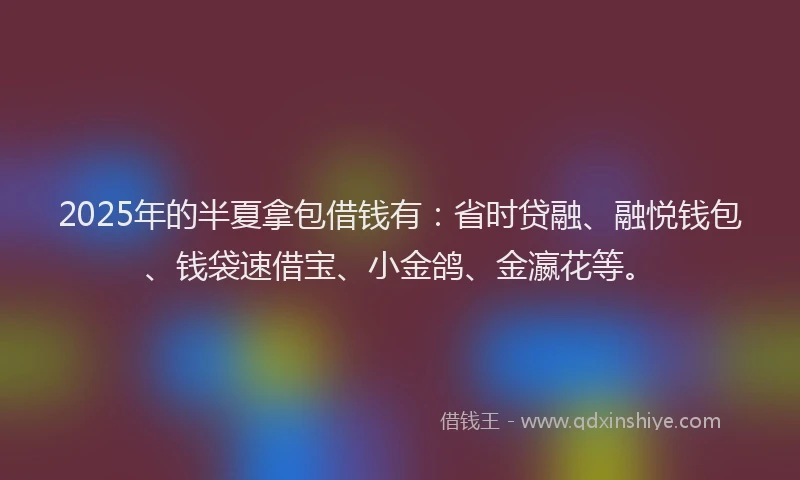 2025年的半夏拿包借钱有：省时贷融、融悦钱包、钱袋速借宝、小金鸽、金瀛花等。