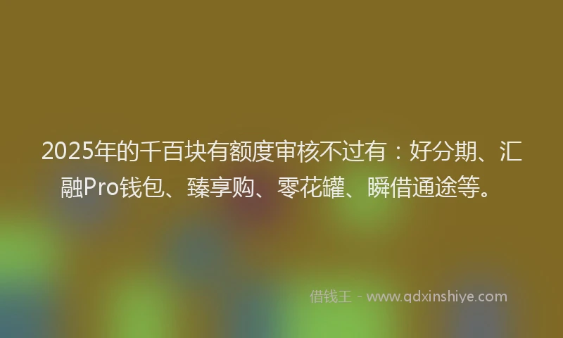 2025年的千百块有额度审核不过有：好分期、汇融Pro钱包、臻享购、零花罐、瞬借通途等。