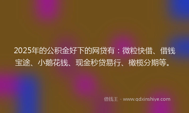 2025年的公积金好下的网贷有：微粒快借、借钱宝途、小鹅花钱、现金秒贷易行、橄榄分期等。