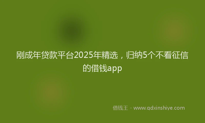 刚成年贷款平台2025年精选，归纳5个不看征信的借钱app