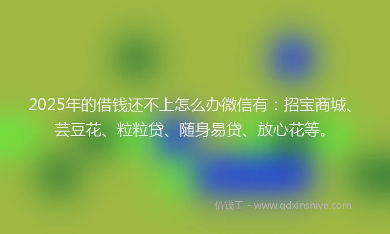 2025年的借钱还不上怎么办微信有：招宝商城、芸豆花、粒粒贷、随身易贷、放心花等。
