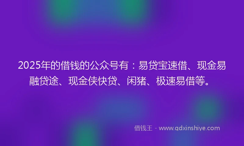 2025年的借钱的公众号有：易贷宝速借、现金易融贷途、现金侠快贷、闲猪、极速易借等。