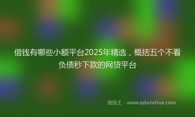 借钱有哪些小额平台2025年精选，概括五个不看负债秒下款的网贷平台