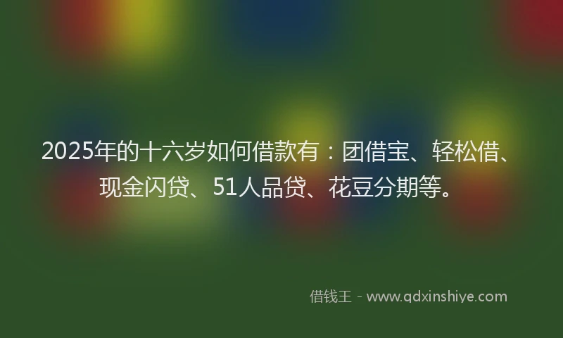 2025年的十六岁如何借款有：团借宝、轻松借、现金闪贷、51人品贷、花豆分期等。