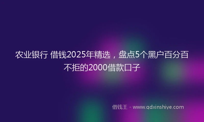 农业银行 借钱2025年精选，盘点5个黑户百分百不拒的2000借款口子