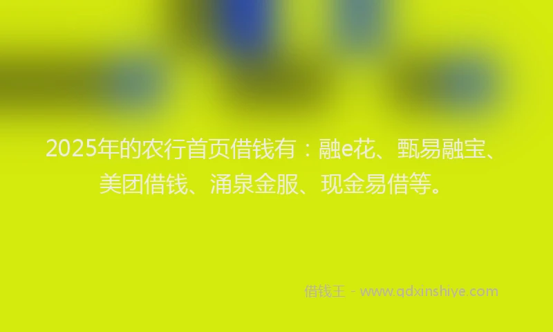 2025年的农行首页借钱有：融e花、甄易融宝、美团借钱、涌泉金服、现金易借等。