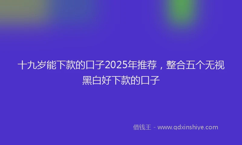 十九岁能下款的口子2025年推荐，整合五个无视黑白好下款的口子