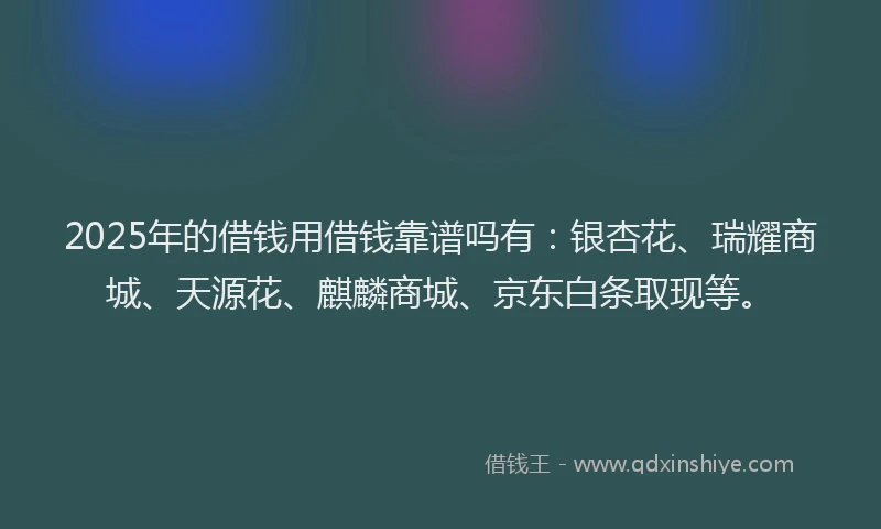 2025年的借钱用借钱靠谱吗有：银杏花、瑞耀商城、天源花、麒麟商城、京东白条取现等。