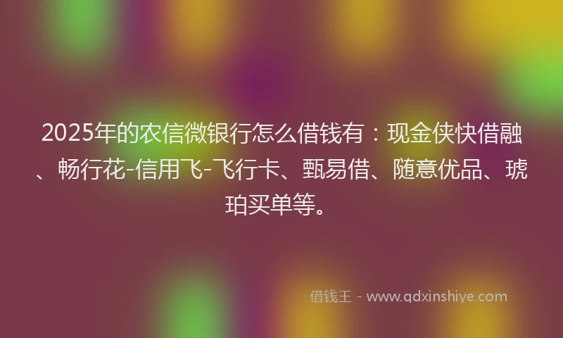 2025年的农信微银行怎么借钱有：现金侠快借融、畅行花-信用飞-飞行卡、甄易借、随意优品、琥珀买单等。