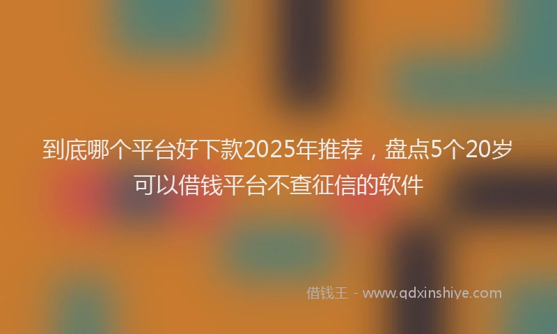 到底哪个平台好下款2025年推荐，盘点5个20岁可以借钱平台不查征信的软件