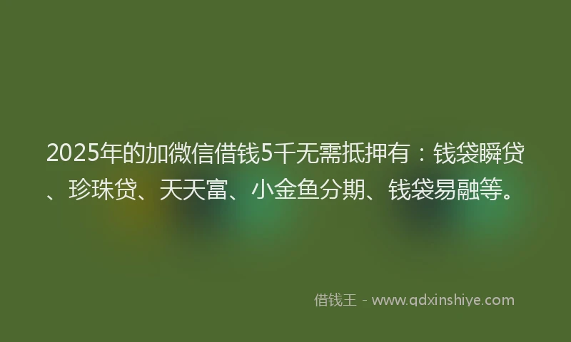 2025年的加微信借钱5千无需抵押有：钱袋瞬贷、珍珠贷、天天富、小金鱼分期、钱袋易融等。