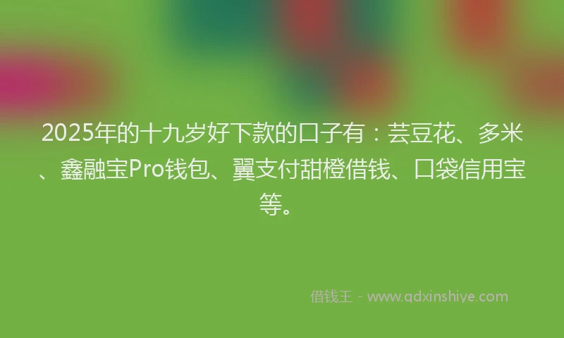 2025年的十九岁好下款的口子有：芸豆花、多米、鑫融宝Pro钱包、翼支付甜橙借钱、口袋信用宝等。