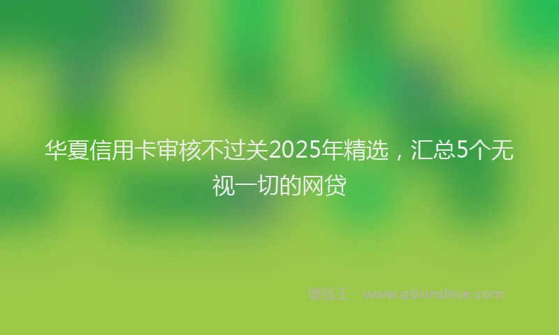 华夏信用卡审核不过关2025年精选，汇总5个无视一切的网贷