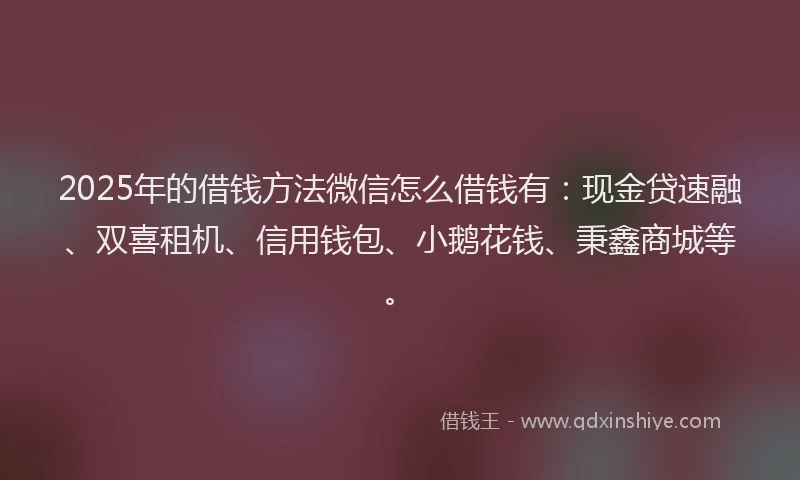 2025年的借钱方法微信怎么借钱有：现金贷速融、双喜租机、信用钱包、小鹅花钱、秉鑫商城等。
