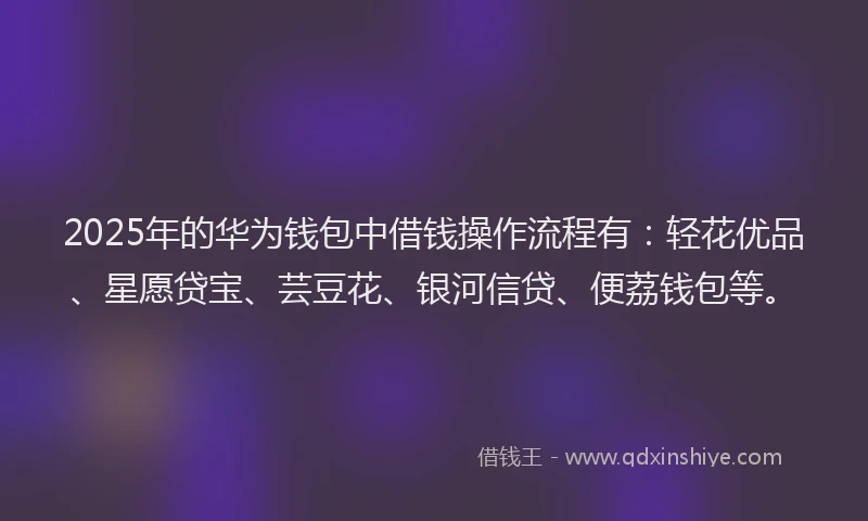 2025年的华为钱包中借钱操作流程有：轻花优品、星愿贷宝、芸豆花、银河信贷、便荔钱包等。