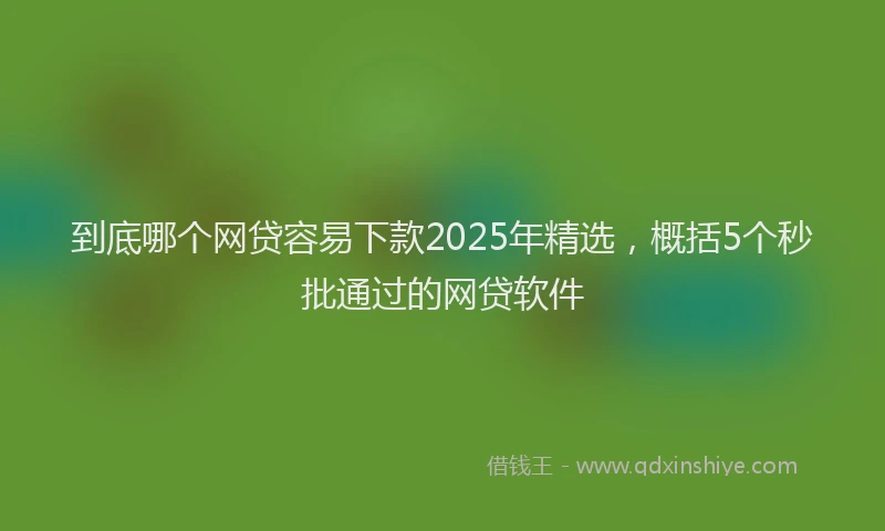 到底哪个网贷容易下款2025年精选，概括5个秒批通过的网贷软件