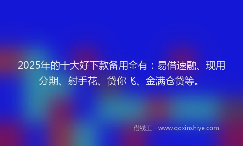 2025年的十大好下款备用金有：易借速融、现用分期、射手花、贷你飞、金满仓贷等。