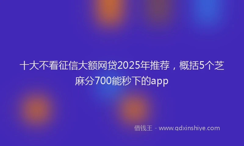 十大不看征信大额网贷2025年推荐，概括5个芝麻分700能秒下的app
