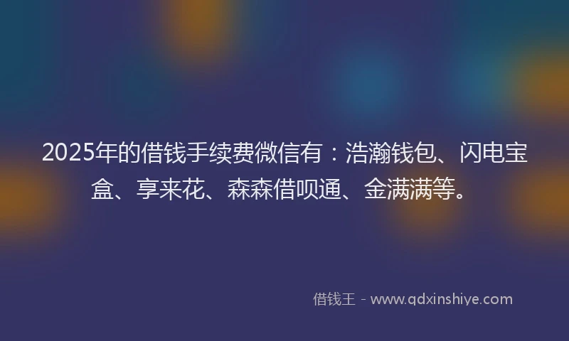 2025年的借钱手续费微信有：浩瀚钱包、闪电宝盒、享来花、森森借呗通、金满满等。