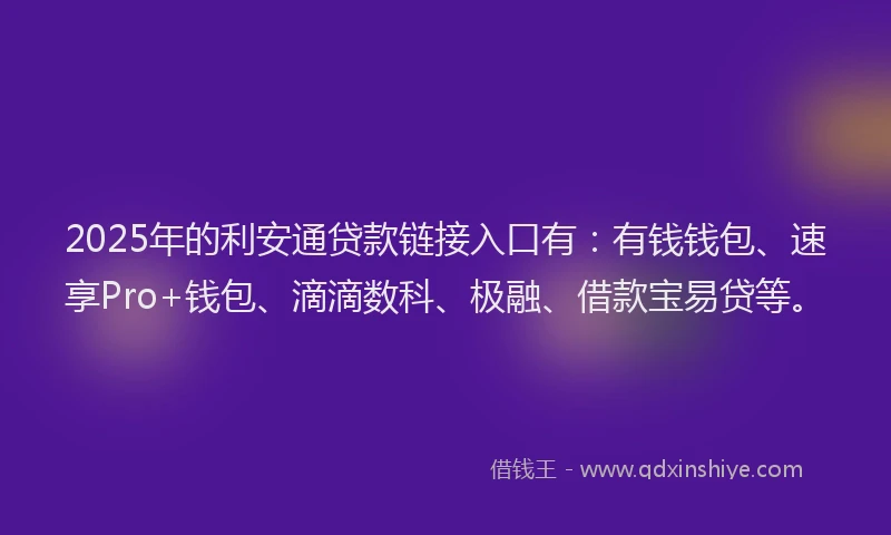 2025年的利安通贷款链接入口有：有钱钱包、速享Pro+钱包、滴滴数科、极融、借款宝易贷等。