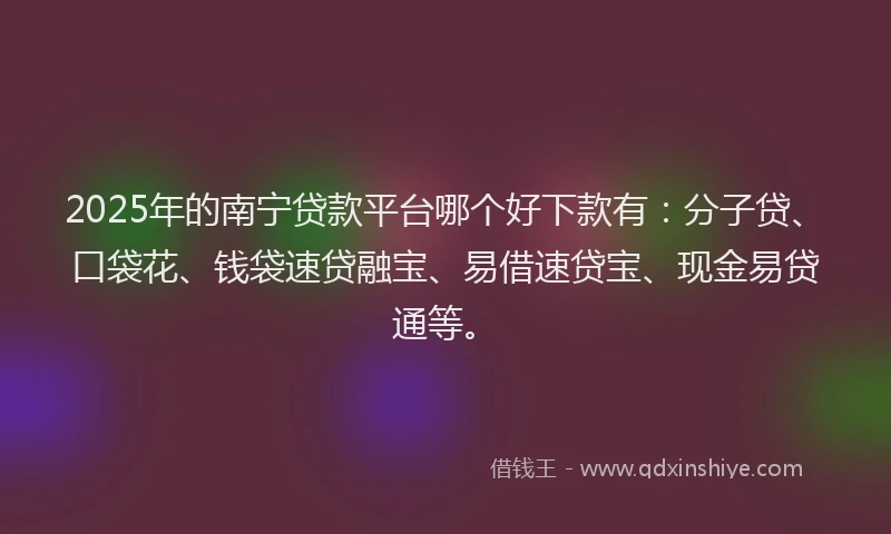 2025年的南宁贷款平台哪个好下款有：分子贷、口袋花、钱袋速贷融宝、易借速贷宝、现金易贷通等。
