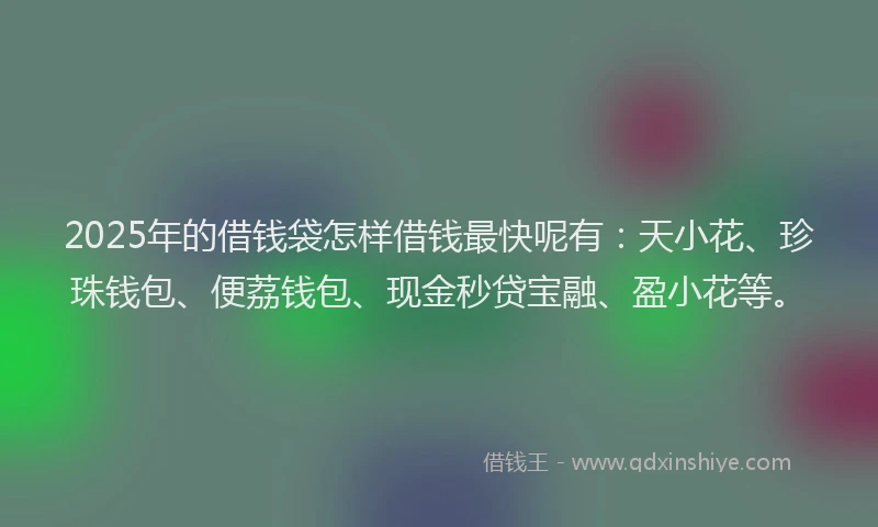2025年的借钱袋怎样借钱最快呢有：天小花、珍珠钱包、便荔钱包、现金秒贷宝融、盈小花等。