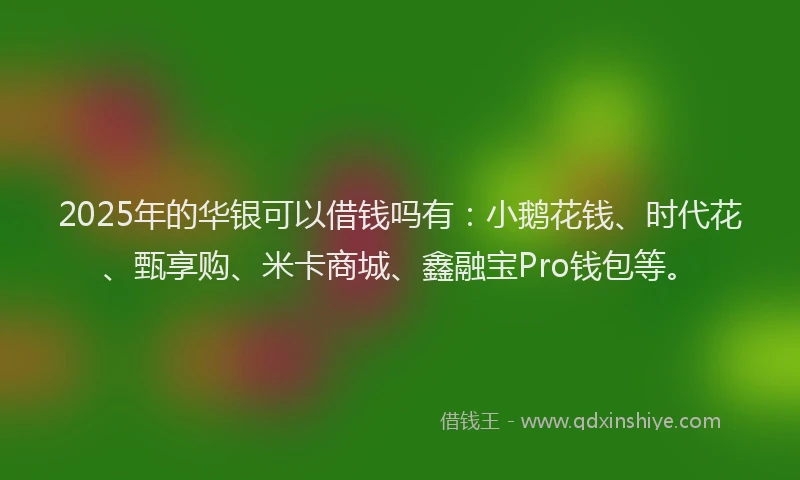 2025年的华银可以借钱吗有：小鹅花钱、时代花、甄享购、米卡商城、鑫融宝Pro钱包等。