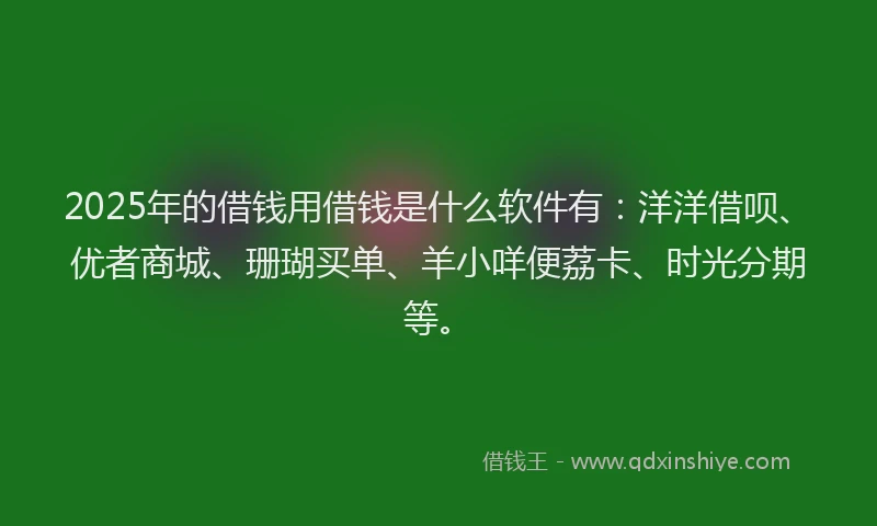 2025年的借钱用借钱是什么软件有：洋洋借呗、优者商城、珊瑚买单、羊小咩便荔卡、时光分期等。