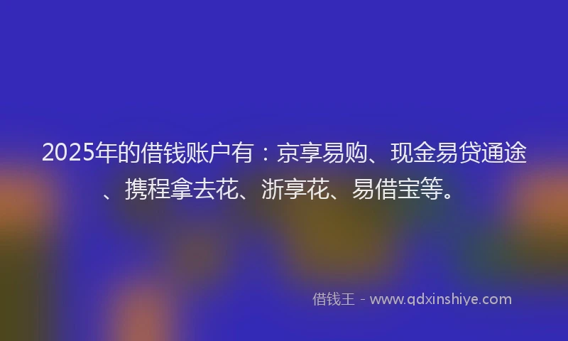 2025年的借钱账户有：京享易购、现金易贷通途、携程拿去花、浙享花、易借宝等。