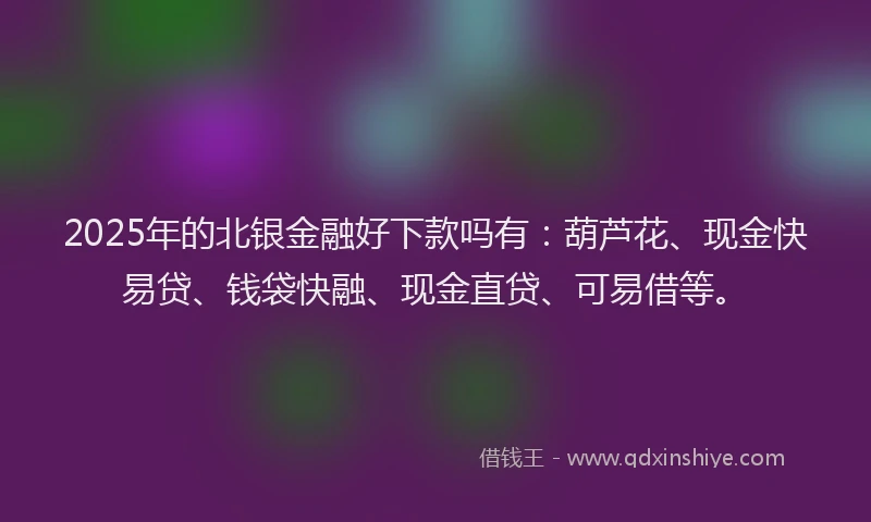 2025年的北银金融好下款吗有：葫芦花、现金快易贷、钱袋快融、现金直贷、可易借等。