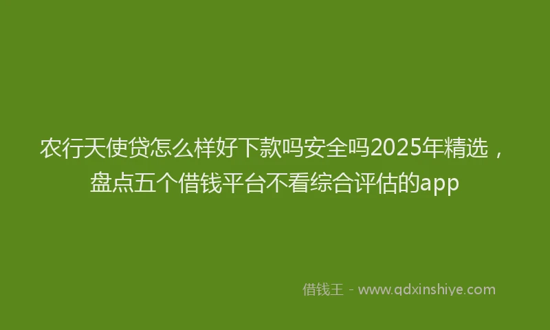 农行天使贷怎么样好下款吗安全吗2025年精选，盘点五个借钱平台不看综合评估的app