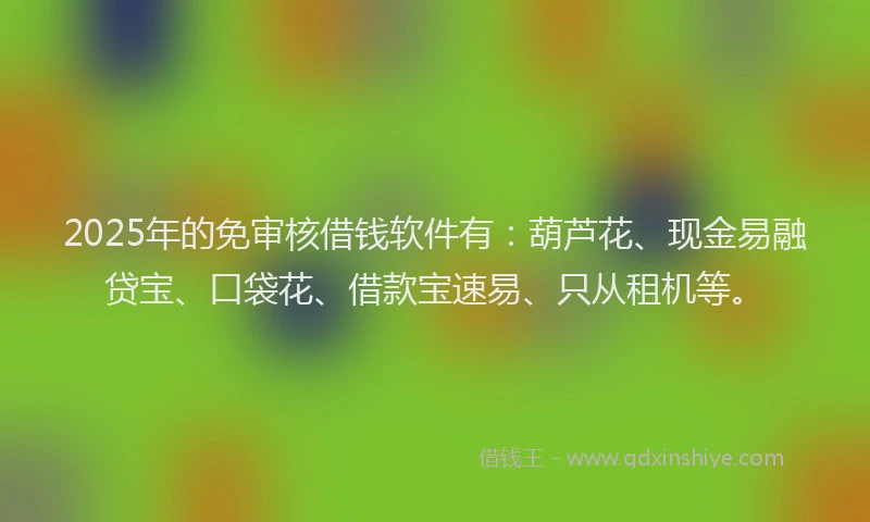 2025年的免审核借钱软件有：葫芦花、现金易融贷宝、口袋花、借款宝速易、只从租机等。