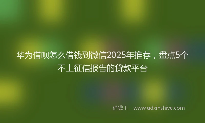 华为借呗怎么借钱到微信2025年推荐，盘点5个不上征信报告的贷款平台
