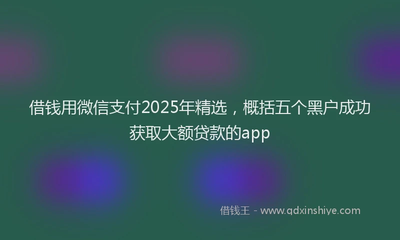 借钱用微信支付2025年精选，概括五个黑户成功获取大额贷款的app