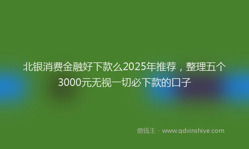 北银消费金融好下款么2025年推荐，整理五个3000元无视一切必下款的口子