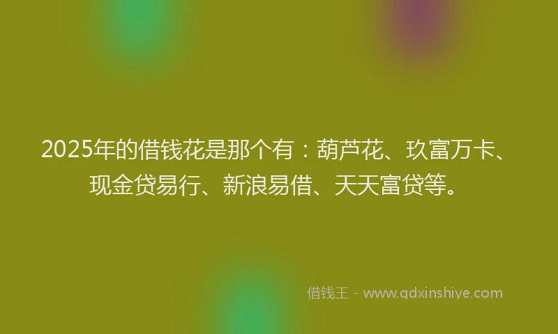 2025年的借钱花是那个有：葫芦花、玖富万卡、现金贷易行、新浪易借、天天富贷等。