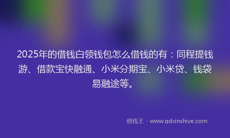 2025年的借钱白领钱包怎么借钱的有：同程提钱游、借款宝快融通、小米分期宝、小米贷、钱袋易融途等。
