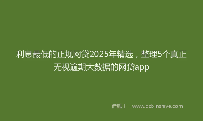 利息最低的正规网贷2025年精选，整理5个真正无视逾期大数据的网贷app
