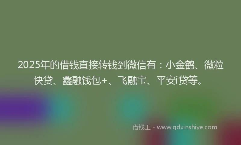 2025年的借钱直接转钱到微信有：小金鹤、微粒快贷、鑫融钱包+、飞融宝、平安i贷等。