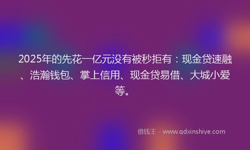 2025年的先花一亿元没有被秒拒有：现金贷速融、浩瀚钱包、掌上信用、现金贷易借、大城小爱等。