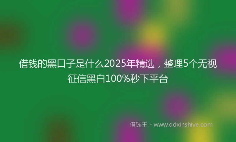 借钱的黑口子是什么2025年精选，整理5个无视征信黑白100%秒下平台
