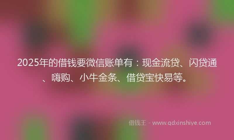 2025年的借钱要微信账单有：现金流贷、闪贷通、嗨购、小牛金条、借贷宝快易等。
