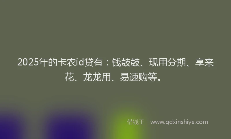 2025年的卡农id贷有：钱鼓鼓、现用分期、享来花、龙龙用、易速购等。