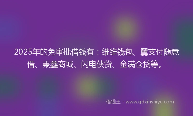 2025年的免审批借钱有：维维钱包、翼支付随意借、秉鑫商城、闪电侠贷、金满仓贷等。