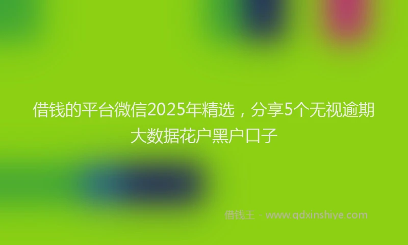 借钱的平台微信2025年精选，分享5个无视逾期大数据花户黑户口子