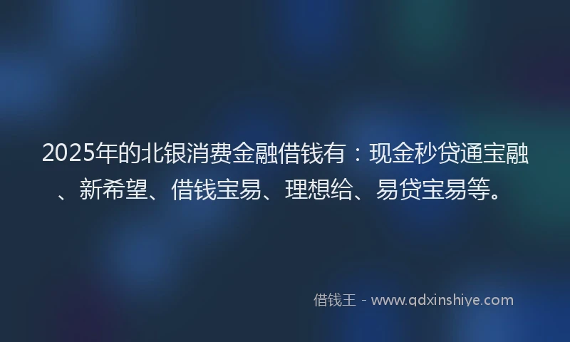 2025年的北银消费金融借钱有：现金秒贷通宝融、新希望、借钱宝易、理想给、易贷宝易等。