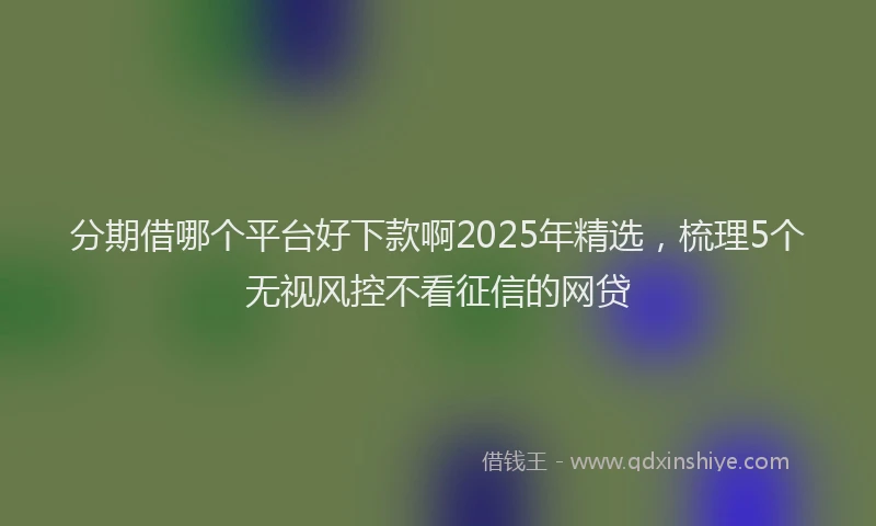 分期借哪个平台好下款啊2025年精选，梳理5个无视风控不看征信的网贷